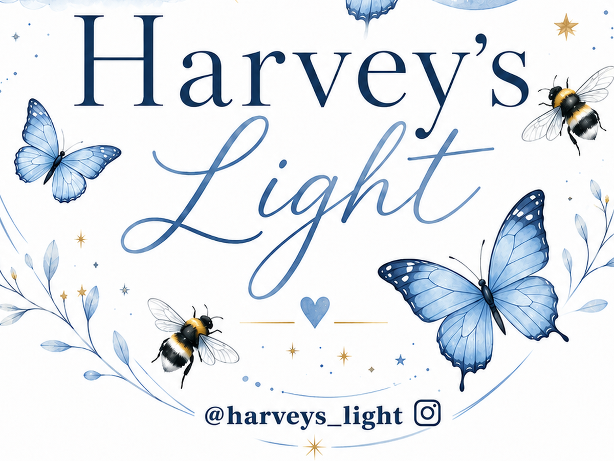 Fundraiser’s main image