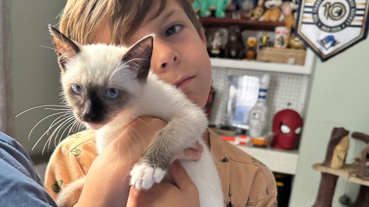 Help My Rescue Kitten KoKo Fight Panleukopenia campaign photo, 1 of 8