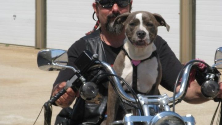 Main fundraiser photo