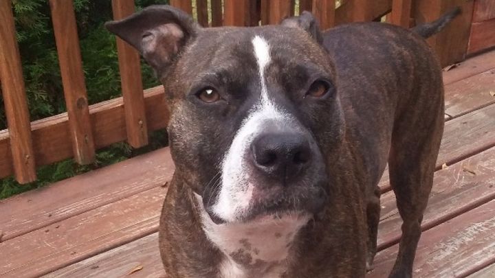 Main fundraiser photo