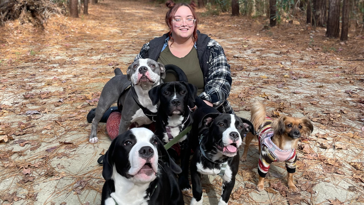 Help Rosie and Her Puppies Thrive campaign photo, 1 of 8