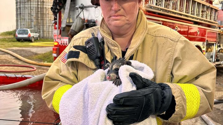 Support Our Selfless Mom After Unexpected Flood Loss campaign photo, 1 of 7