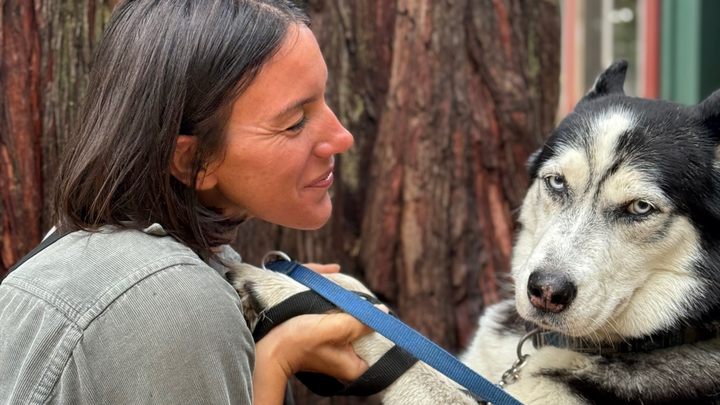 Help Save Meeko Leloo’s Life campaign photo, 1 of 8