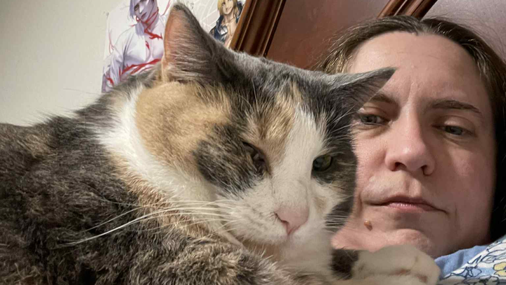 Urgent: Save Lulu and Me from Homelessness campaign photo, 1 of 4
