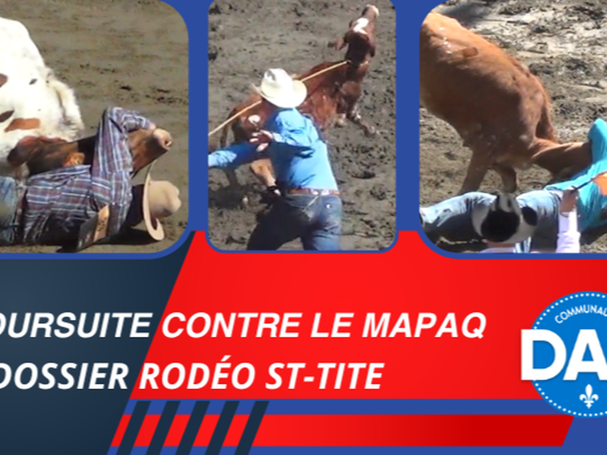 Photo principale de la cagnotte