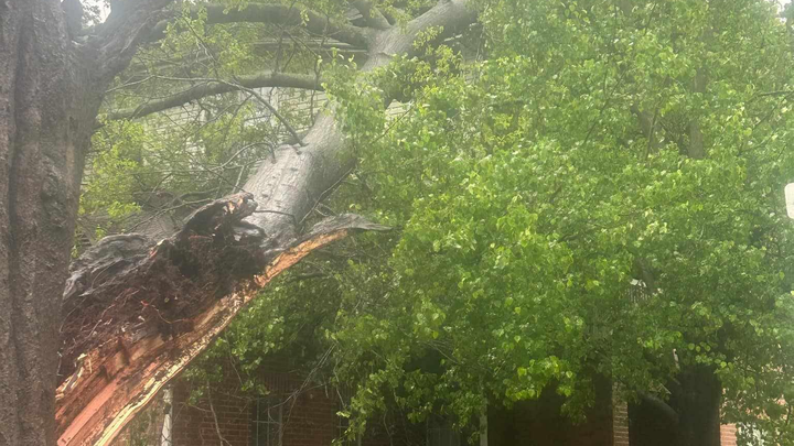 Main fundraiser photo