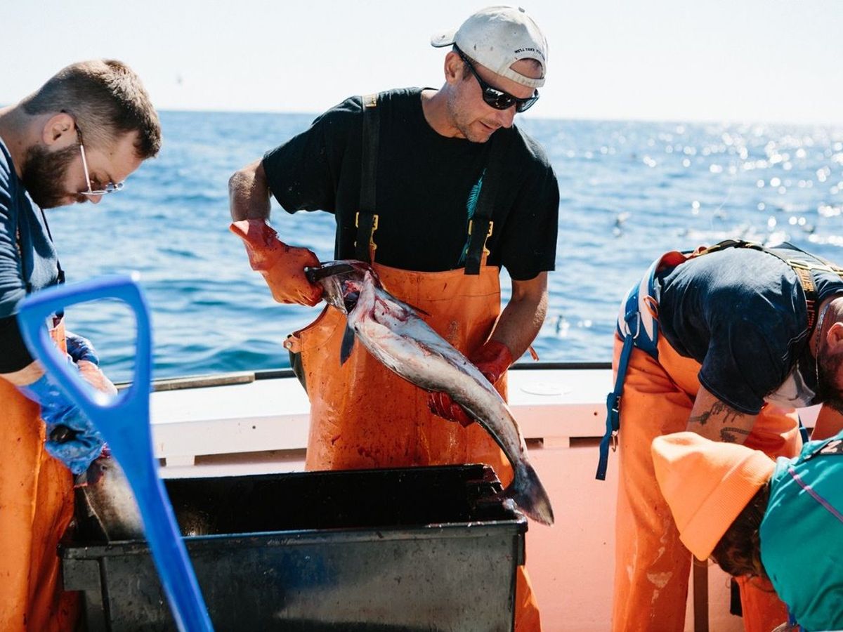 Who Fishes Matters: N.E. Fishmongers campaign photo, 1 of 3