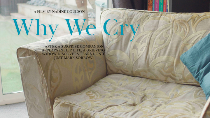 Why We Cry: Help Me Finish My Short Film campaign photo, 1 of 3