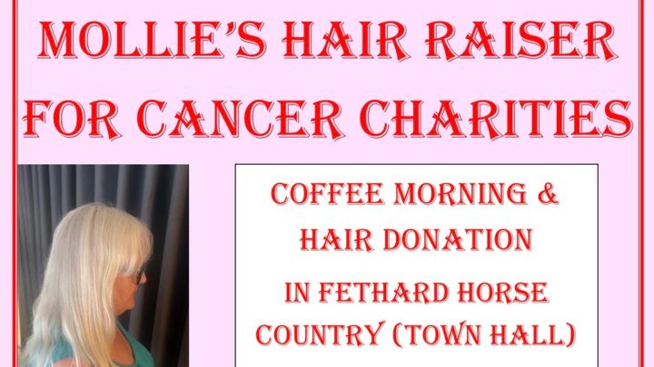 Mollies Hair Raiser for Cancer Charities campaign photo, 1 of 7