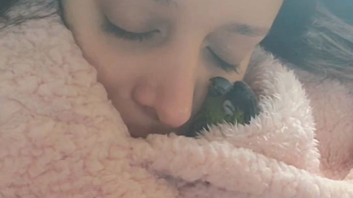 Help Ginger Recover & Rebuild After Mold Exposure campaign photo, 1 of 8