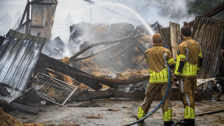 Foto van campagne Help De Slotruiters herstellen na de stalbrand, 1 van 4