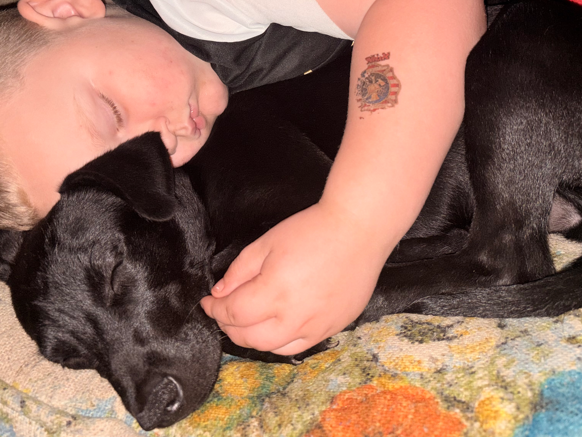 Donate to Save Onyx: Shane's Beloved Pup campaign photo, 1 of 2