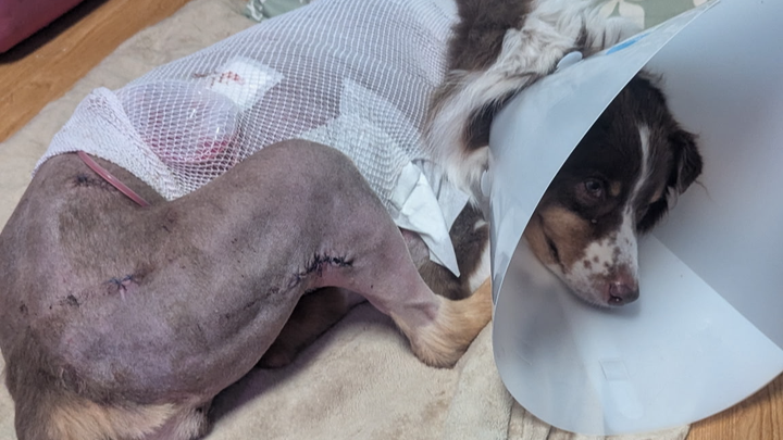 Help Chi Overcome Rare Staph Infection campaign photo, 1 of 6