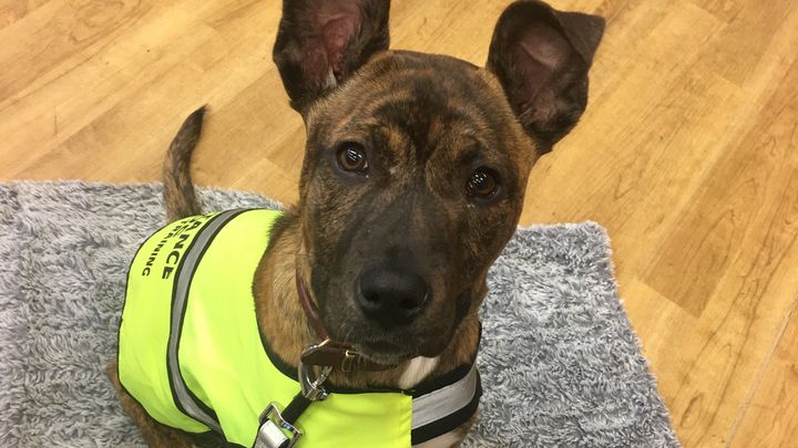 Main fundraiser photo