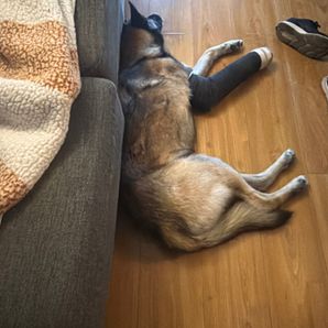 Daniel Rodriguez Lucas