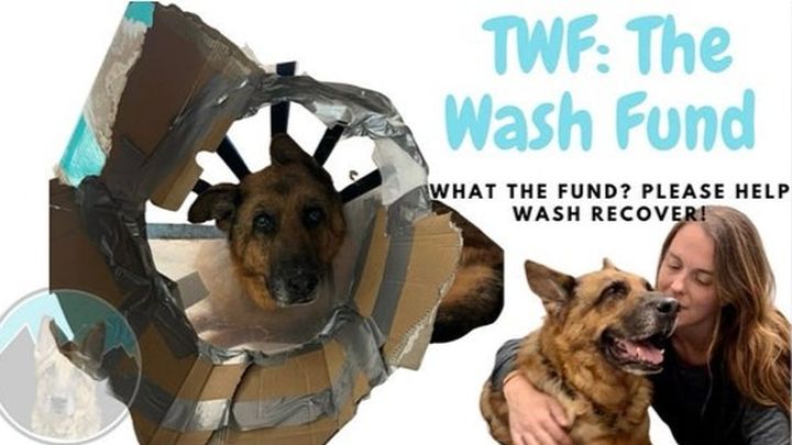 Main fundraiser photo