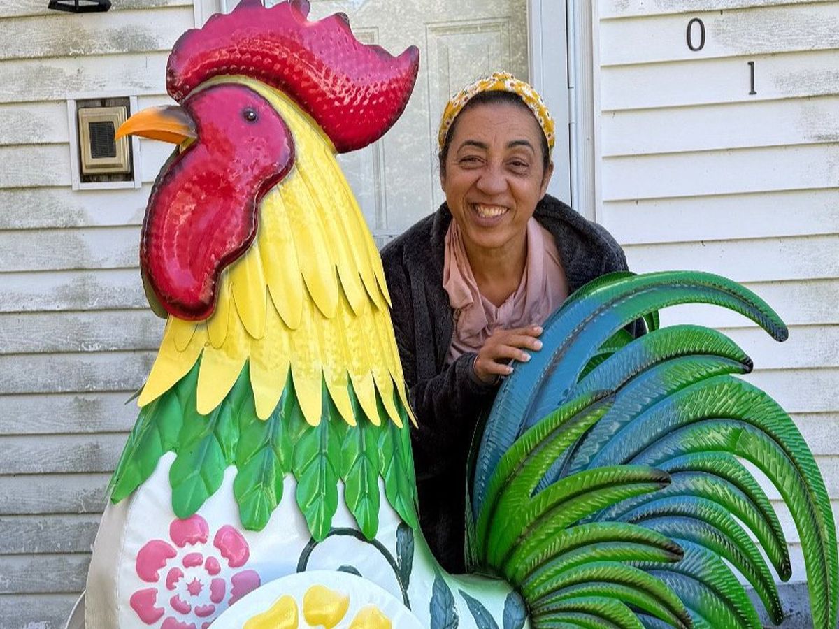 Fundraiser’s main image