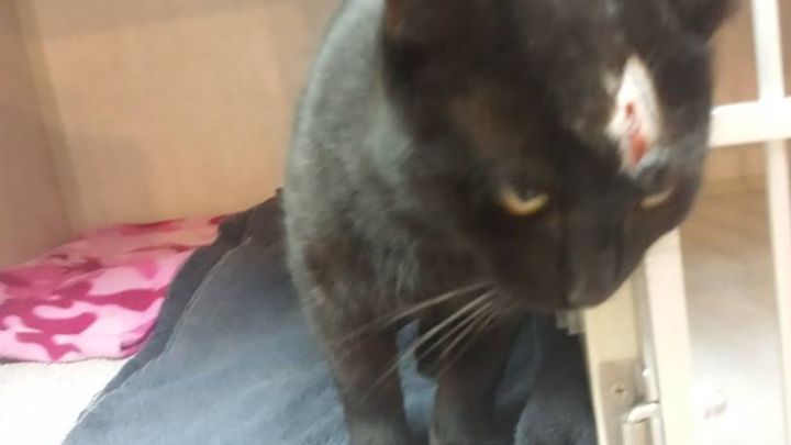 Main fundraiser photo