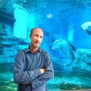 Profile photo of David Yates
