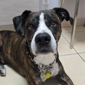 Catherine Castano-Rex