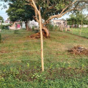 Proyecto nuestra casita