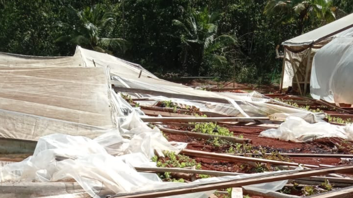Support Aunt's Recovery from Hurricane Devastation campaign photo, 1 of 7