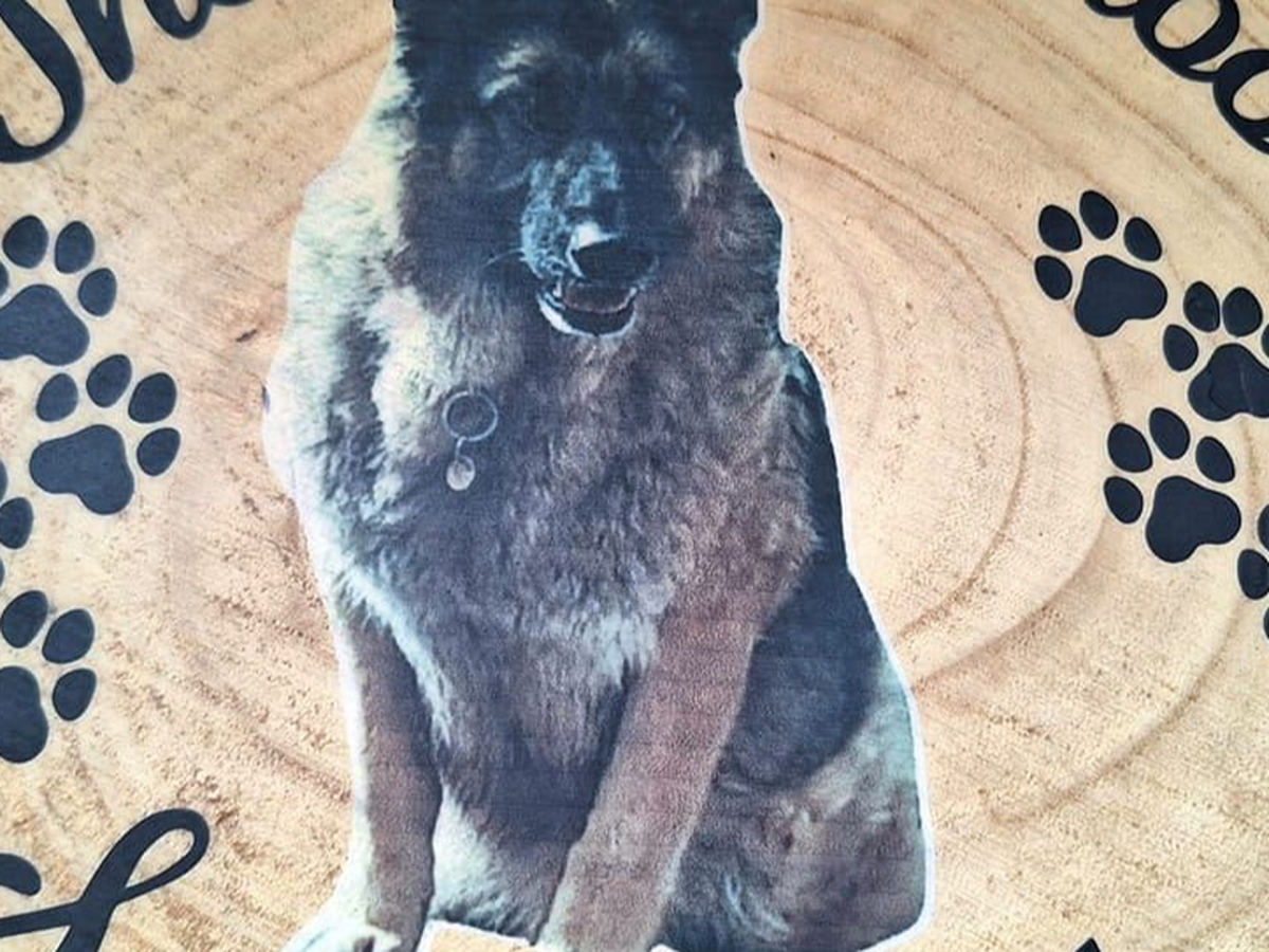 Fundraiser’s main image