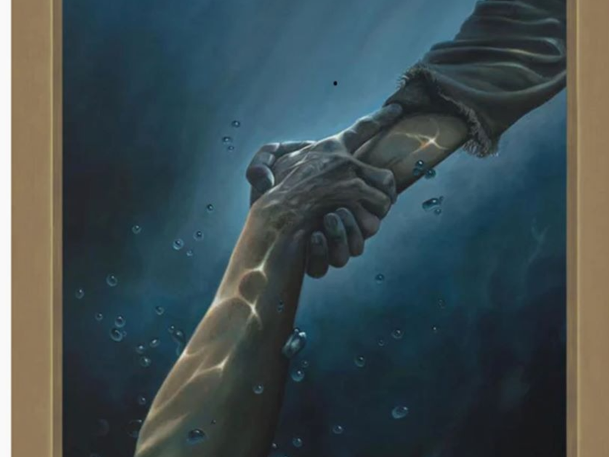 Fundraiser’s main image