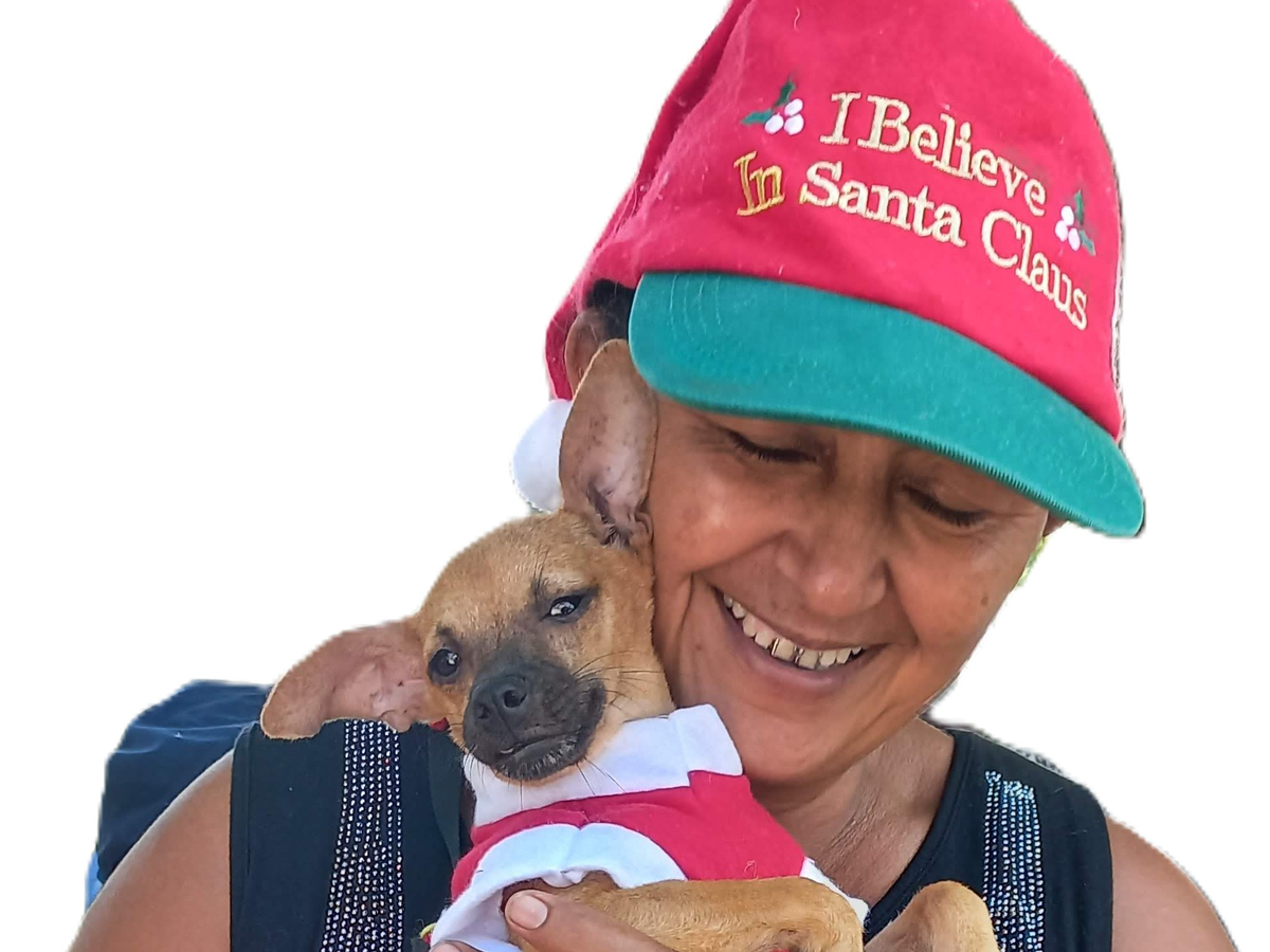 Fundraiser’s main image