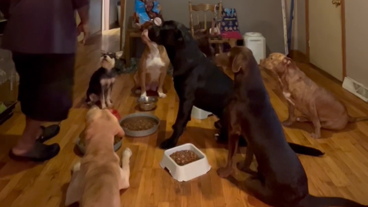 Help Us Find a Home for Our Family