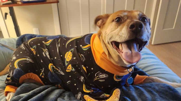 Support Buster's Kidney Treatment & Keep Him With Us Longer campaign photo, 1 of 4