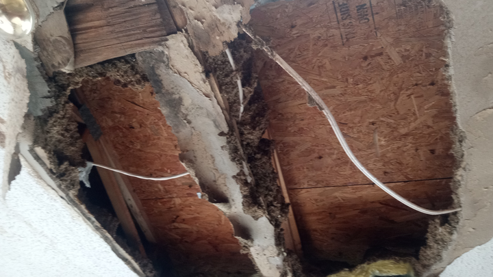 Ceiling Repair Needed for Twins' Arrival campaign photo, 1 of 7