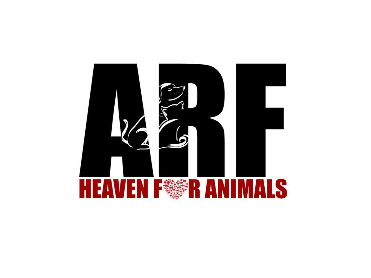 Fundraiser’s main image