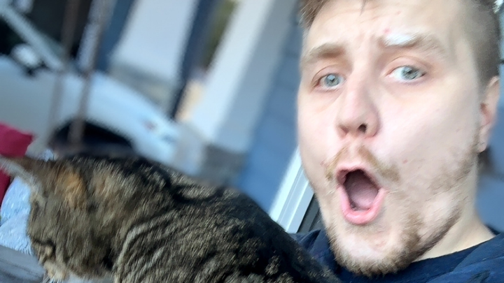 Support Matthew After Fire Displaces Him and His Cats campaign photo, 1 of 8