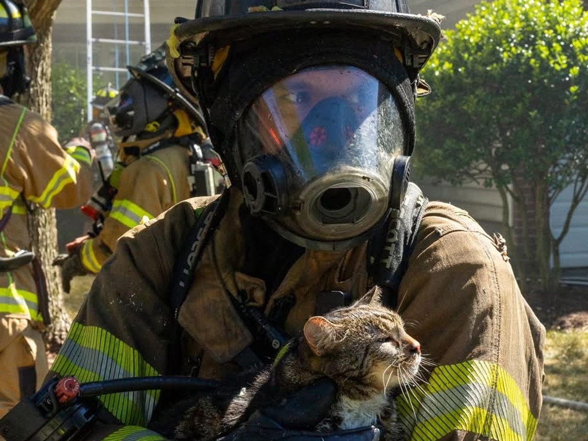 Fundraiser by Ashley Clark : Help My Sister Rebuild After House Fire