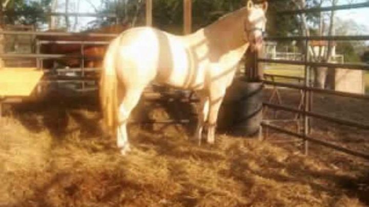 Barn fire Ranch needs help rebuilding campaign photo, 1 of 8
