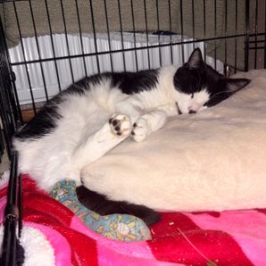 Leanne Leonard-Maxwell