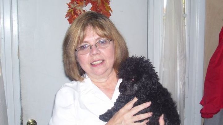 Main fundraiser photo