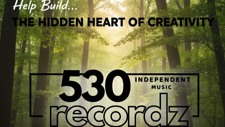 Help Launch 530 Records: Art & Music Studio campaign photo, 1 of 3