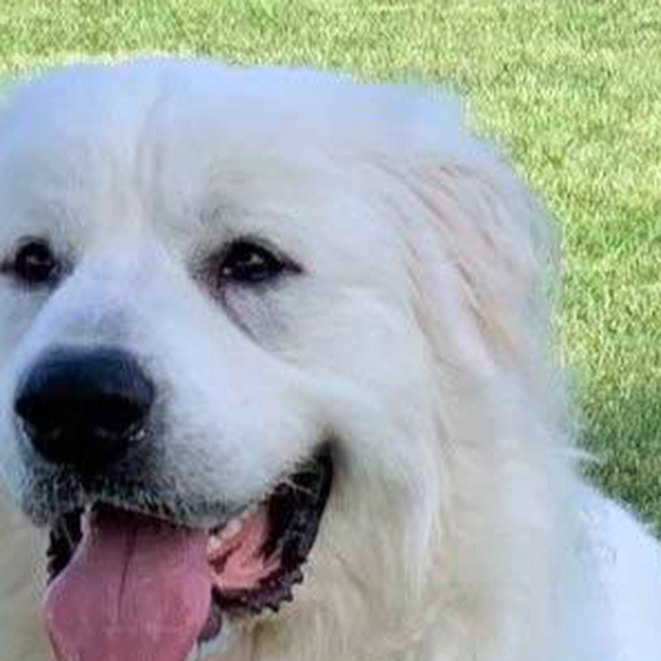 Please Help Me Save My Best Friend's Heart