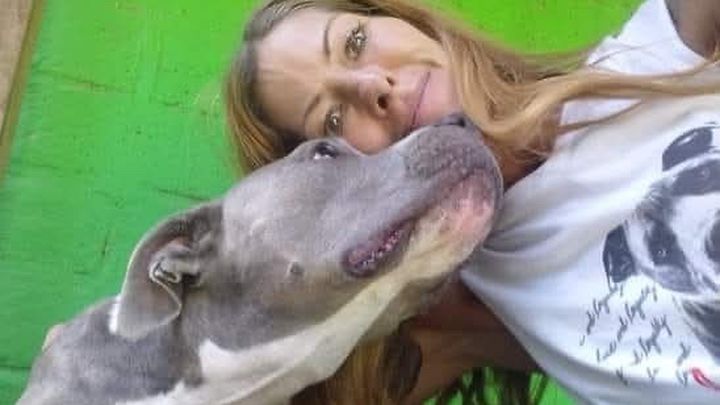 Bali Bully Rescue campaign photo, 1 of 3