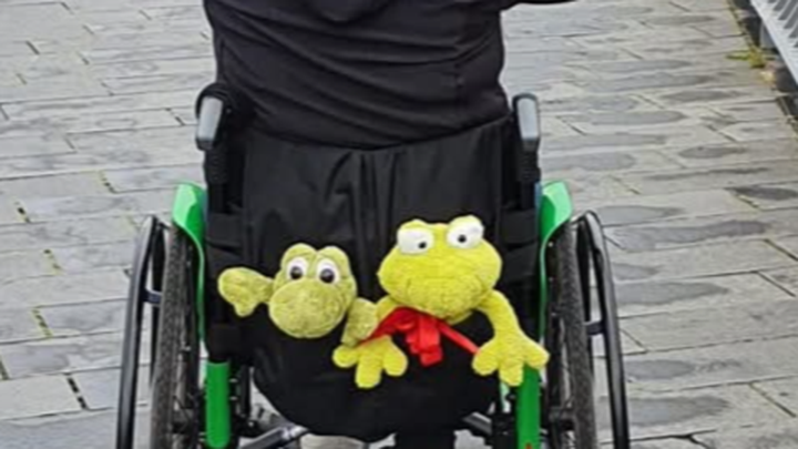 Wenn ein Moment alles verändert, ein rollstuhlgerechtes Auto campaign photo, 1 of 8