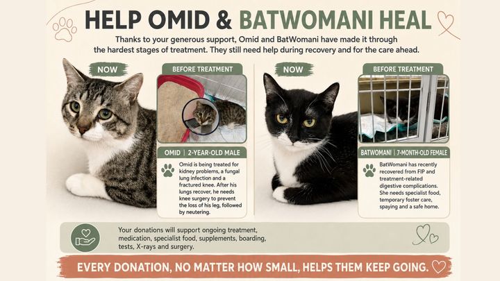 HELP OMID & BATWOMANI HEAL campaign photo, 1 of 3