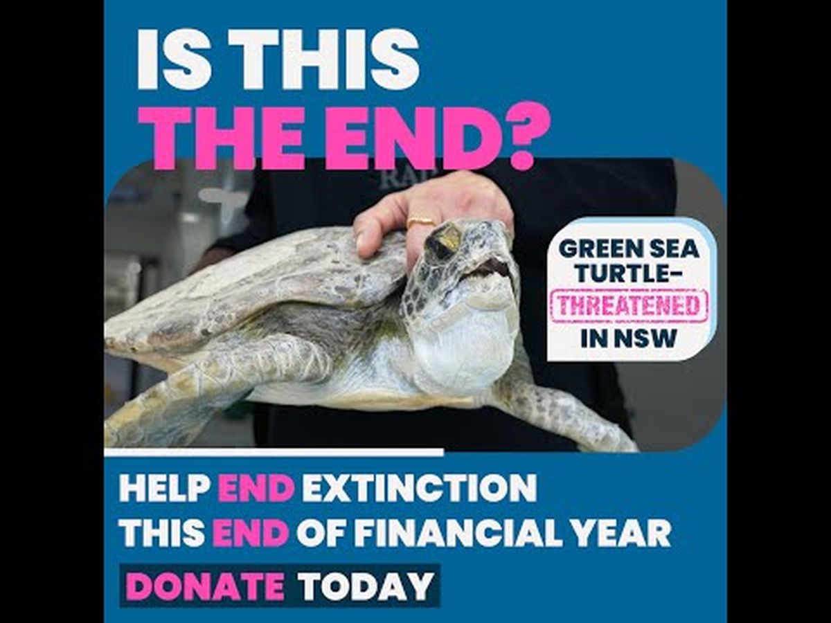 Fundraiser’s main image