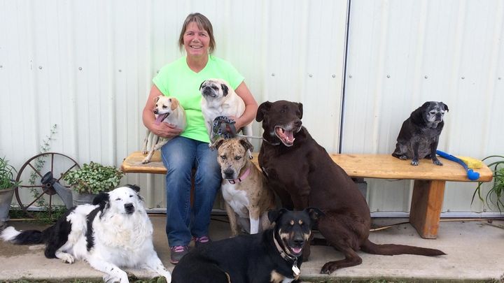 Main fundraiser photo