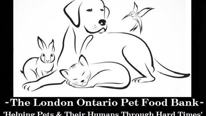 fundraiser-by-roxanne-anarchkitty-toussaint-the-london-ontario-pet