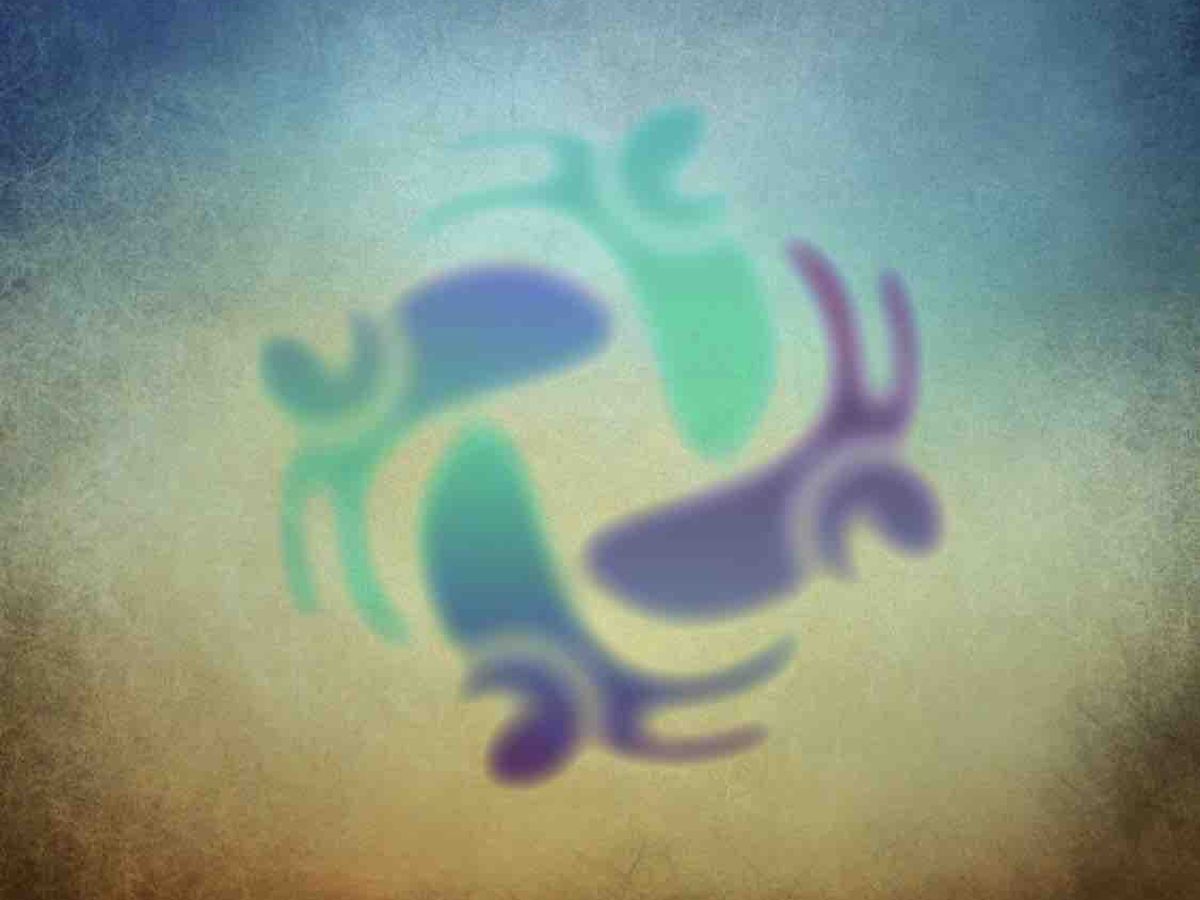 Fundraiser’s main image