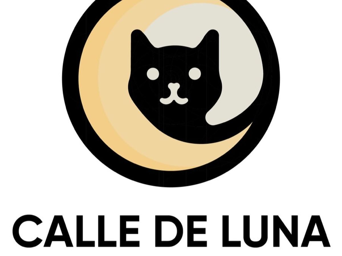 Fundraiser’s main image