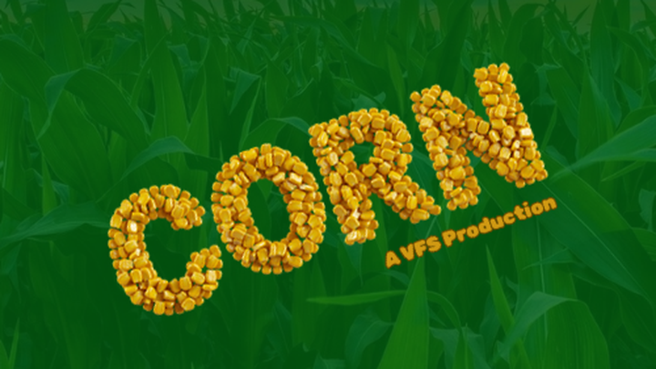 CORN - Short Film campaign photo, 1 of 3