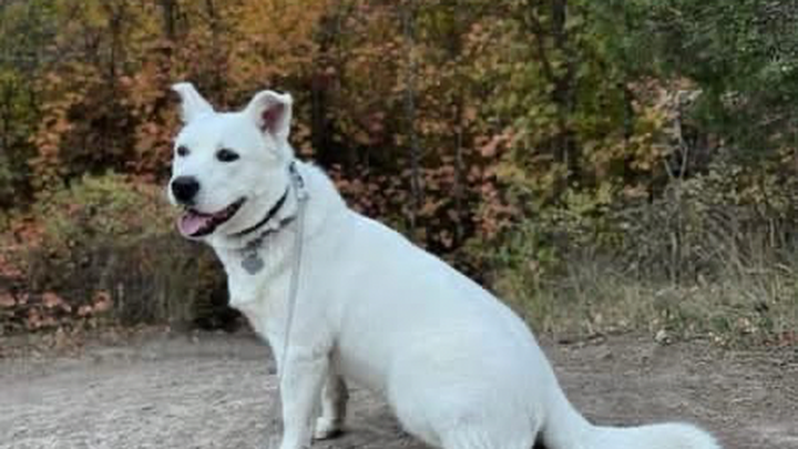 Help Shinju Take Her Next Step Toward Healing campaign photo, 1 of 2